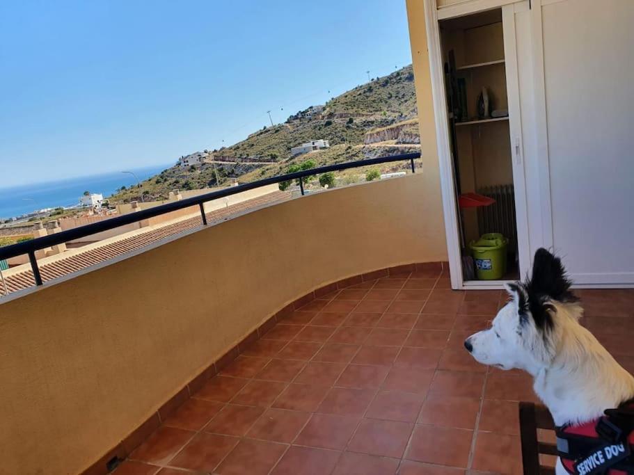 Apartamento 2 Habitaciones En Benalmadena Ngoại thất bức ảnh